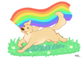 Pride Dog A6 Postcard