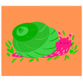 Snail Orange A6 Postcard